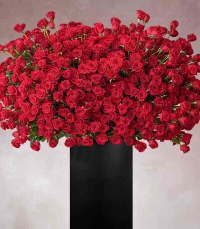 999 Red Roses Stand