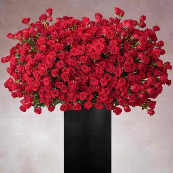 999 Red Roses Stand