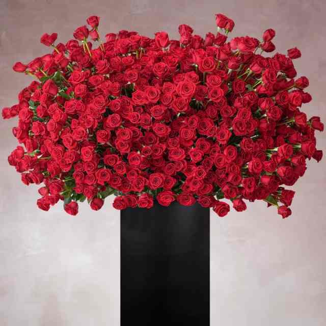 999 Red Roses Stand