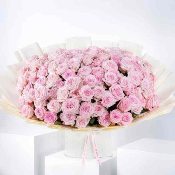 Anniversary 100 Pink O'hara Grand