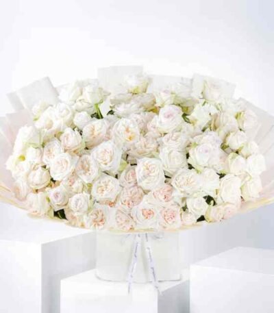 Anniversary 100 White O'hara Grand
