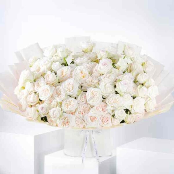 Anniversary 100 White O'hara Grand