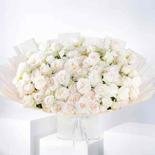 Anniversary 100 White O'hara Grand