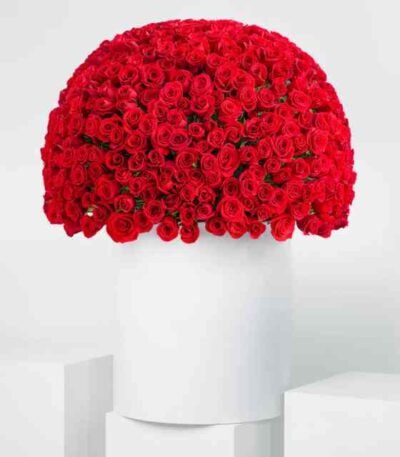 Anniversary 500 Red Roses XXL