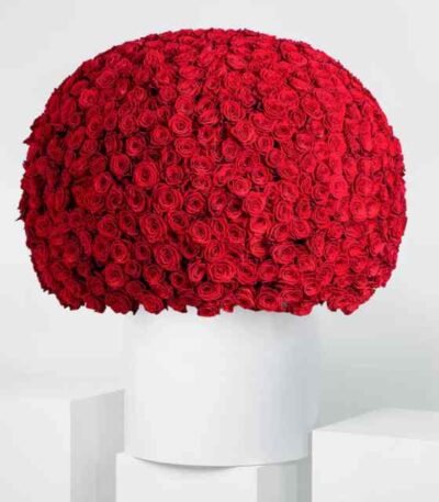 Anniversary 999 Red Roses XXL