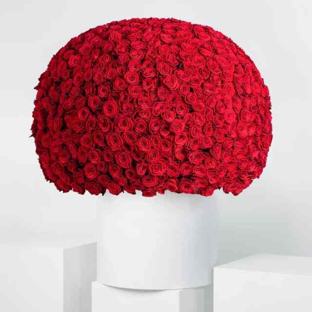 Anniversary 999 Red Roses XXL