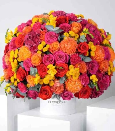 Birthday Noura Hatbox