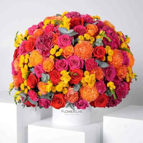 Birthday Noura Hatbox