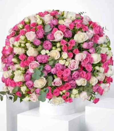 Birthday Rose Harmony