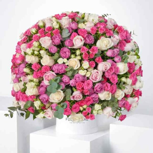 Birthday Rose Harmony